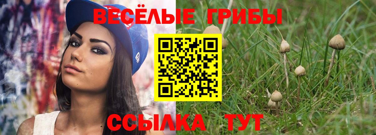 Галлюциногенные грибы мицелий  Вход с VPN  Ноябрьск 